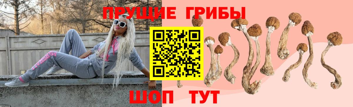 Псилоцибиновые грибы мицелий  Галлюциногенные грибы прущие грибы  Вход с VPN  Ливны 